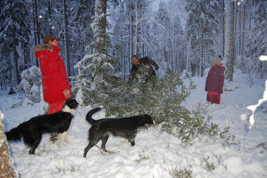 Holiday Cottage Tiira With Sauna House Расеборг Екстериор снимка